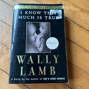 I Know This Much Is True by Wally Lamb
